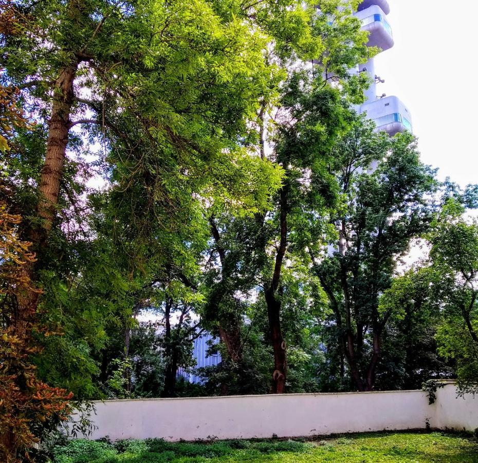 Apartment Sense Of Zizkov プラハ エクステリア 写真